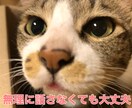ゆっくりお話聞きます 少しだけ休みませんか？頑張って話さなくても大丈夫！ イメージ3