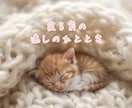 ゆるっと癒しの時間♡一緒に過ごします ちょっと誰かと話したい時に♪ 5分だけでも大丈夫◎ イメージ3