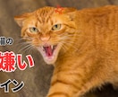 YouTubeの猫サムネイルを格安で作成ます 格安・クリック率UP・素早い！猫専門サムネイルデザイン イメージ6