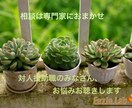 臨床心理⭐️対人援助職の皆さんのお悩み聴きます 対人援助職やカウンセリング業でのお疲れの方、お話聴きます。 イメージ1