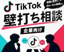 TikTok運用の壁打ち・戦略相談に乗ります 企業向けTikTok運用・戦略相談 イメージ1