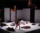 オランダ在住＊イベント撮影出張致します 演劇、ライブ、花火、イベント　カメラマン撮影 イメージ4