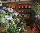 花屋・カフェの開業アドバイスします ヨーロッパで学び×18年現場経験｜憧れのお店をカタチにします イメージ3