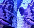 写真の加工承ります いつもの写真をちょっといじってみませんか？ イメージ3