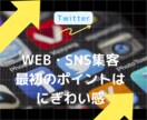 あなたのTwitterの「リツイート」を増やします 100RT増加から気軽にお申し付け下さい イメージ2