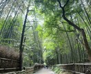 とても綺麗な風景の写真をお届けしますます 綺麗！可愛い！すてき！行った気になる！ イメージ3