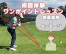 初回体験オンラインゴルフレッスンします オンラインレッスンが初めてというあなたへ イメージ1