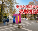 東京外国語大学を目指す方の受験相談に乗ります 浪人経験・短期での世界史対策をもとに受験対策の悩みに答えます イメージ1