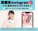 医療系インスタ【現役看護師監修】の運用をします 専門知識を活かした投稿で信頼されるアカウントに！ イメージ1