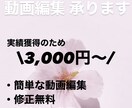 youtube動画・SNS動画編集いたします 10分以内の動画編集いたします！ イメージ1