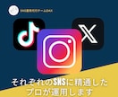 Instagram【1ヶ月】運用代行します SNS実績あるチームが対応！2年で販売実績500件超 イメージ2