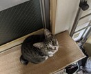 どうにもならないあなたの気持ちお聴きします あなたは自分の気持ちを拒んでいませんか？ イメージ6
