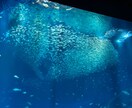 うまくいかない状態から抜け出す浄化法を教えます お話をしっかり傾聴し良い方向に向かっていける様にサポートしま イメージ9