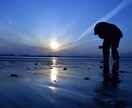 癒される写真売ります！出張無料撮影します 購入して頂いた方(東京、横浜在住限定)無料撮影します！ イメージ1