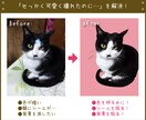 キレイに！【画像修正・加工】します お手軽価格で【画像をキレイに！】 イメージ1