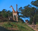 15カ国旅した世界中の写真提供します 他の国もたくさんあるので是非お声掛けください。 イメージ1