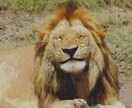 30枚！iPhoneの写真を良い感じに加工します 過剰な加工は一切なし！写真を送るだけで思い出が鮮やかに！ イメージ5