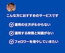 TikTokを1ヶ月間運用代行します SNS実績あるチームが対応します イメージ2