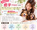 愛犬の困った行動・しつけの相談に乗ります 400頭以上見てきたプロが原因から一緒に考えます イメージ3