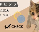 YouTube動画のサムネイル作成致します 最短1日納品♪おしゃれなサムネイル作成します♪ イメージ5