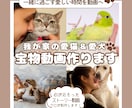 愛犬、愛猫との思い出を一生の宝物になる動画作ります 一緒に過ごす愛しい時間を愛の詰まった動画で永遠に残します イメージ1