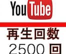 YouTube動画＋2500再生数拡大します 高コスパ！1再生あたり1円以下！ イメージ1