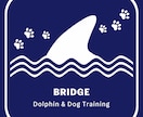 懐かない野犬（保護犬）が家族になるサポートをします （水族館で多くの野生動物経験を、野犬のしつけに活用） イメージ8
