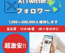 Xのフォロワー1000人以上増加します 激安!Twitter（X）フォロワー大増加! イメージ1