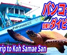 再生数の上がるYoutubeサムネイルを作成します 高品質のサムネイルで人気Youtuberを目指しましょう イメージ3