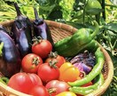 ダイエットアドバイスをします ダイエットアドバイス(食事指導、アドバイス) イメージ4