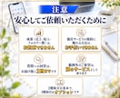 媒体別！プロフィール文と固定投稿を一式作成します 名前から自己紹介、固定投稿まで、媒体ごとに納品 イメージ8