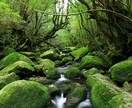 貴方の悩み愚痴聞きます 悩みや愚痴寄り添い受け入れます。 イメージ2