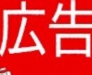 1ヶ月間YouTube広告のやり方を教えます データ分析しながら効果的なYouTube広告コンサルします イメージ3