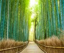 精神科看護師が精神科についての相談にのります ⭐️精神看護師8年目！否定せずいつでもあたなの味方です！✨ イメージ5