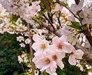 外観でわからぬ不調や働けない焦り…その声を聴きます 心に優しく寄り添います。自身のペースでゆっくりお話しください イメージ1