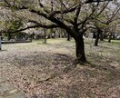 電話一本で繋がる温かい場所✨心に寄り添います 心の友、心友になりませんか？ほっと一息なごみじかん☕ イメージ10