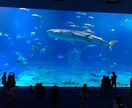 寂しい時、誰かと話したい時にお話聞きます ☆恋愛、家族やお金の悩みなど、ただ誰かに聞いてもらいたい時に イメージ1