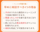 行動療法獣医師が犬の問題行動のご相談にのります しつけで解決できないと感じた飼い主様へ★質問は何度でも◎ イメージ4