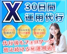 実績あり✨X／Twitter30日間運用代行します 知識＆実績ゼロ、顔出しナシOK✨プロにおまかせください！ イメージ1
