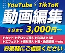 YouTube・TikTokその他の動画編集します イメージやご要望を詳しくお伺いして理想の動画に仕上げます！ イメージ1