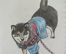 手描きで優しいペット似顔絵をお描きします 写真をもとに、やさしい雰囲気の似顔絵を描きます イメージ5