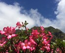 どんなことでも気軽に話聞きます 知らない人だからこそ気にせず話せる イメージ2