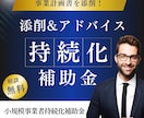 小規模事業者持続化補助金の事業計画書を添削します 持続化補助金を自分で作成している方へ、添削&アドバイスします イメージ1