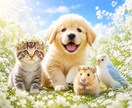 ペットロス｜あなたのお気持ちに寄り添います 大切な家族を見送ったあなたへ… イメージ2