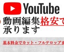 動画の編集（カット・テロップの挿入）承ります 難しいことはわからないけど、見やすい動画を作りたいという方へ イメージ1