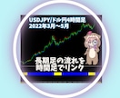 ノンストレスな大口コバンザメＦＸを教えます 大口投資家の動きにピッタリ便乗！だからストレスフリー！ イメージ5