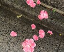 エモい写真売ります MVやCDジャケット用にいかがですか？ イメージ2
