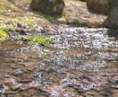 レンズ購入の相談に乗ります レンズ２本目から何を買おうかお悩みのアナタへ イメージ1