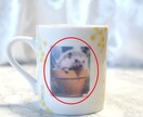 うちの子写真でオーダーメイドマグカップを制作します 大切な家族であるペットの可愛いオリジナルマグカップ イメージ6