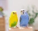 話せてよかったって思わせれるようにします ひとりぼっちの夜をふたりぼっちにしませんか? イメージ3